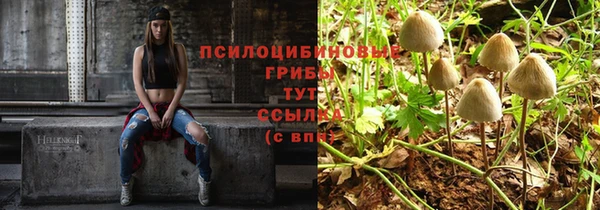 наркотики Новодвинск