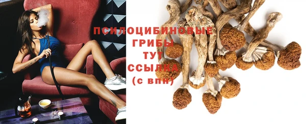 таблы Новокубанск