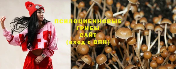 наркотики Новодвинск