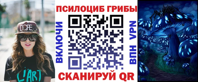 Псилоцибиновые грибы MAGIC MUSHROOMS  hydra сайт  Волжский 