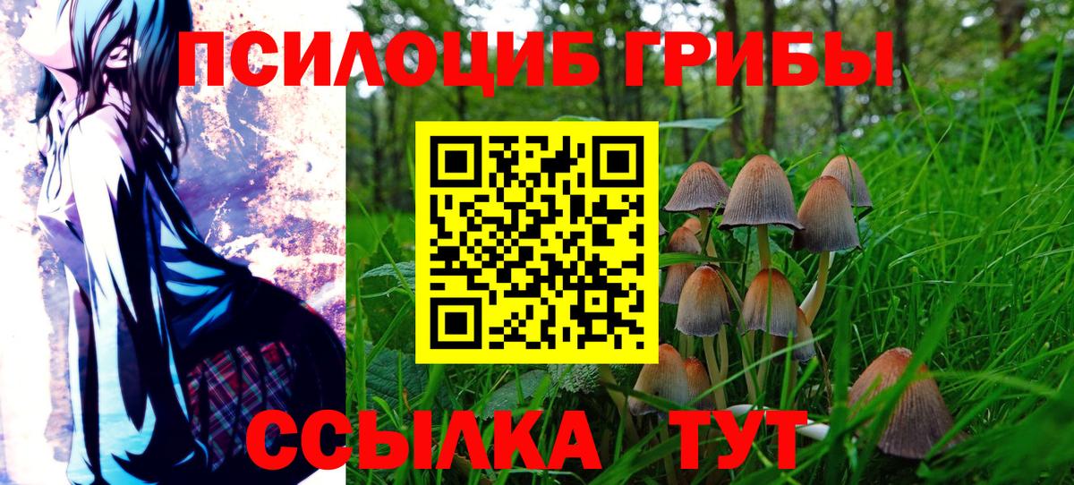 Псилоцибиновые грибы Magic Shrooms  Галлюциногенные грибы Psilocybe  Вход с VPN  Волжский 