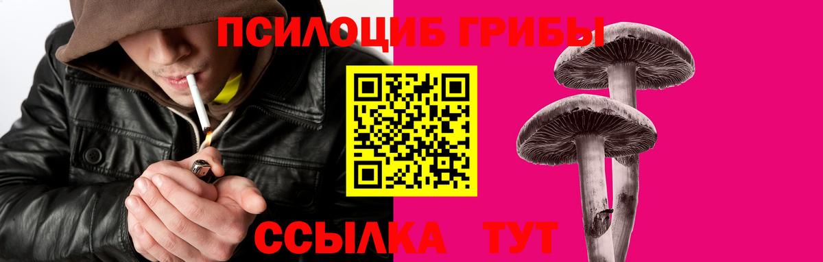 Галлюциногенные грибы мицелий  Волжский 